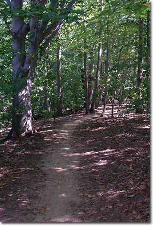Clayton Park trail