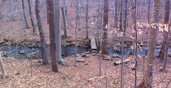 The NJ Brigade Trail crosses over the headwaters of the Passaic River