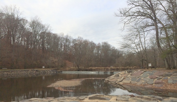 The focus of the park is Neshaminy Creek.