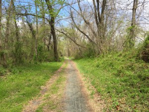 The Delaware and Raritan Canal to Bordentown
